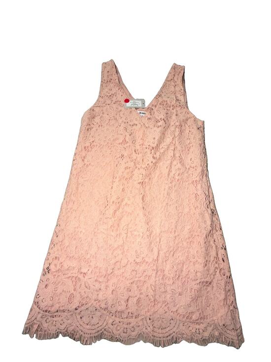 BB Dakota Dresses & Skirts - NWT BB DAKOTA PINK LACE ELEGANT DRESS SIZE MED MSRP $92 (AB11)